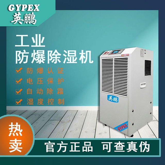 大理室内除湿机 BCF-790C室内吸湿机可用于卧室/客厅/小型地下室英鹏（GYPEX）