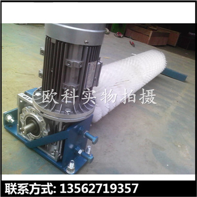 滚刷清扫器03.jpg