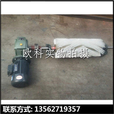 滚刷清扫器06.jpg