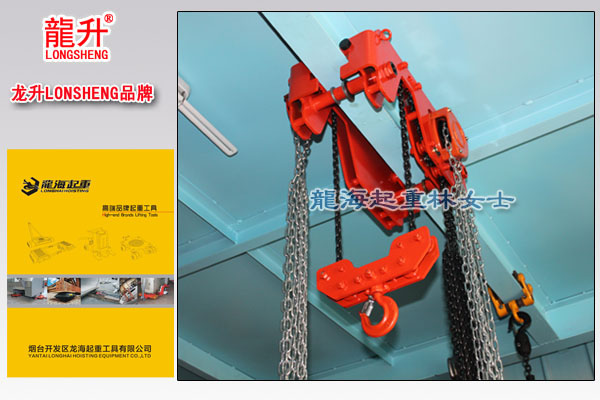 1617081000928978.jpg 龙升低净空手拉葫芦图片.jpg