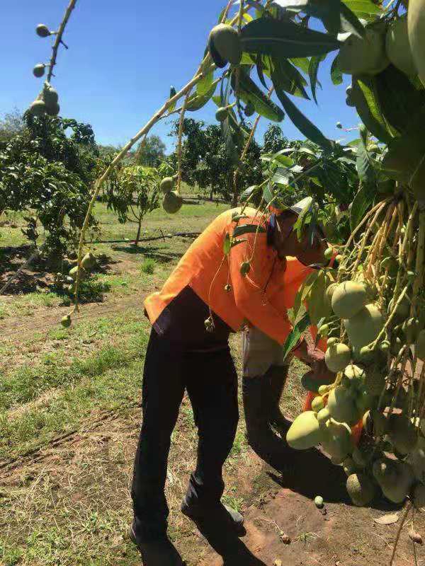 出国打工加拿大项目招包装普工包吃住年薪40万以上一手工签