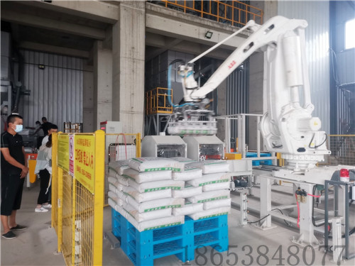 带大家普及下码垛机分类的相关知识