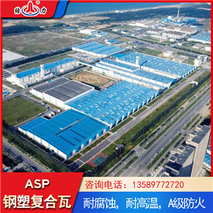 钢塑防腐瓦 asp耐腐铁瓦 山东莱西耐腐彩钢瓦隔音降噪