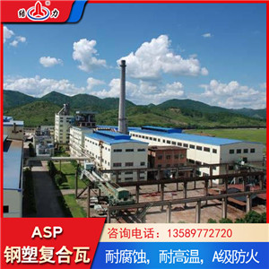 防腐复合瓦 asp钢塑复合瓦 钢塑耐腐板生产工艺