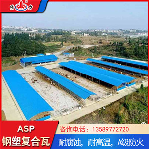 山东胶州psp耐腐塑钢瓦 asp耐腐铁瓦 钢塑瓦防风抗震