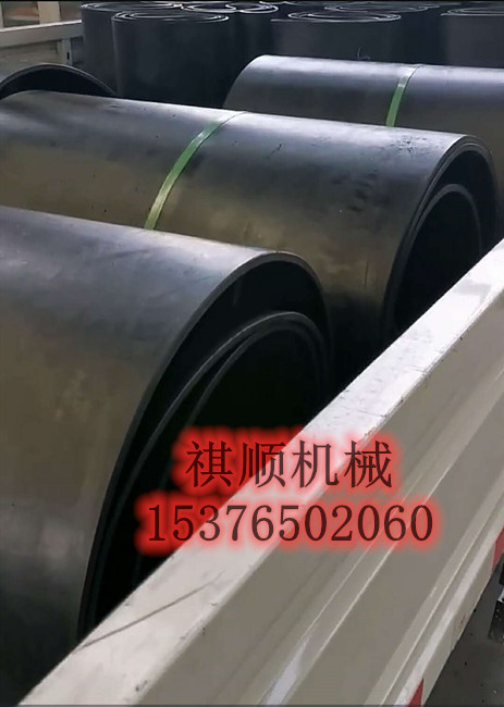 皮带秤裙边输送带 EP200输送环带