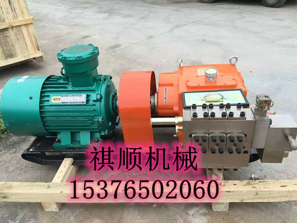 BPW320/16喷雾泵配件 喷雾泵泵头