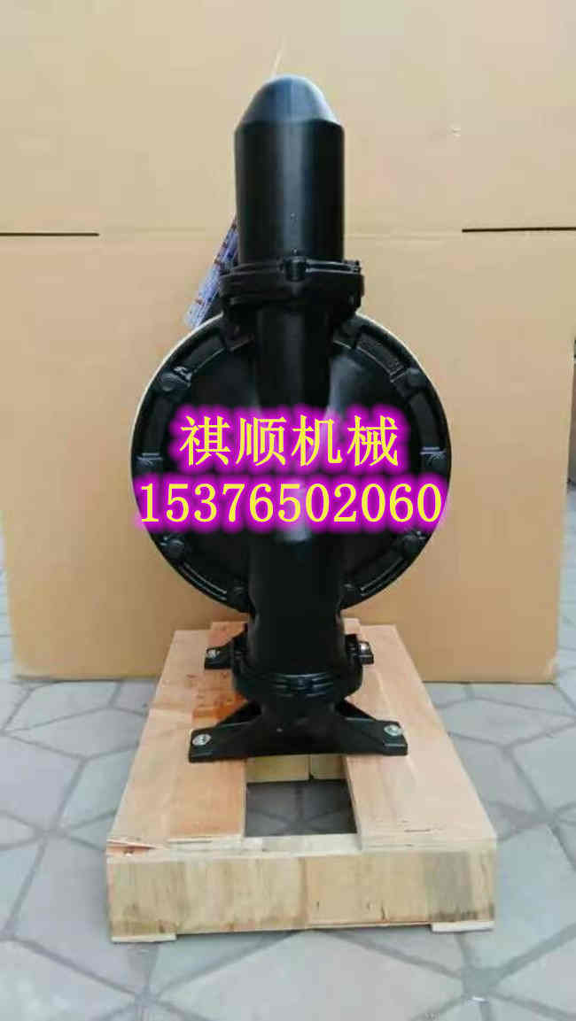 BQG矿用气动泵 气动隔膜泵批发
