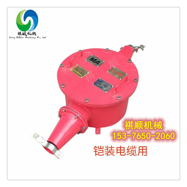 BHG1-200矿用两通防爆接线盒 高压铠装接线盒