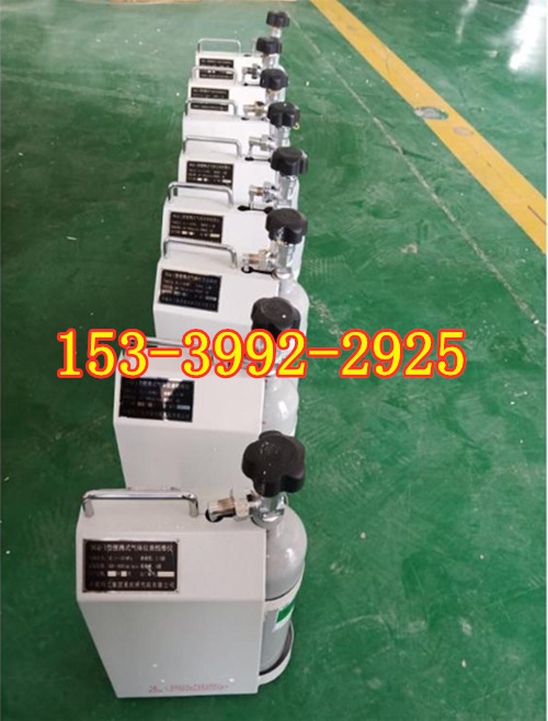 氧气传感器气体检测仪表 BGQ-1便携式气体传感器检验仪