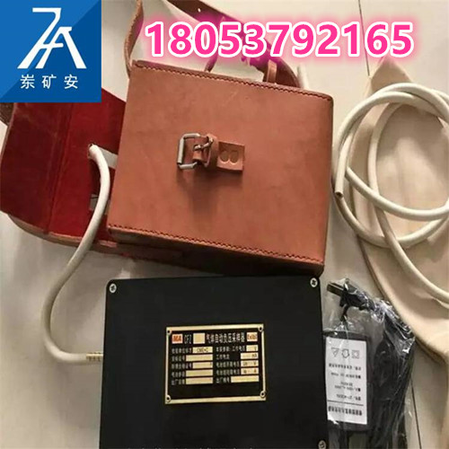 CFZ矿用自动负压采样器 负压气体自动采样器说明