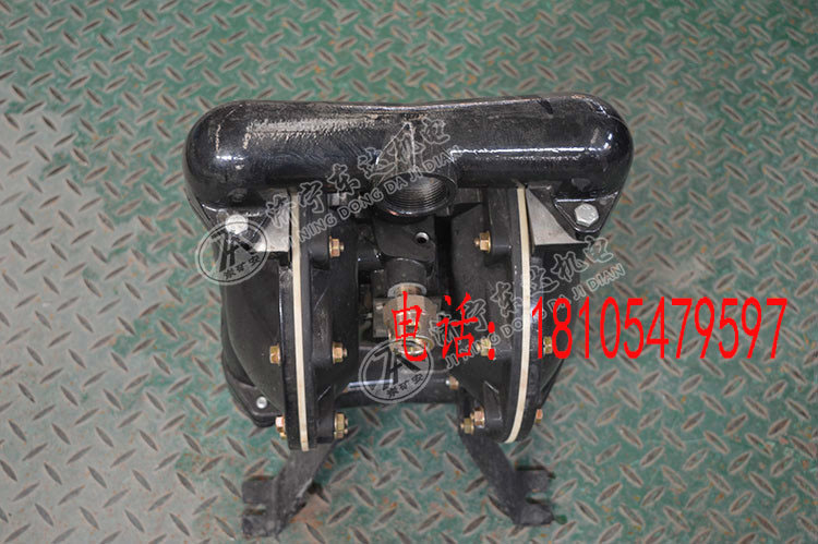 BQG450/0.2气动隔膜泵