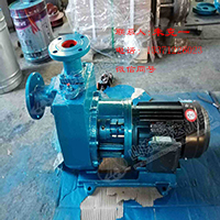 ZN型自吸式倒浆泵 ZN用倒浆泵 倒浆泵参数