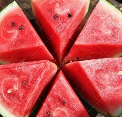 邯郸甜王西瓜苗育苗基地新品种