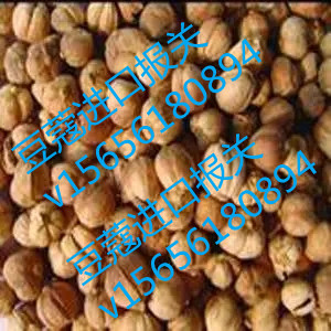 北京豆蔻报关代理公司