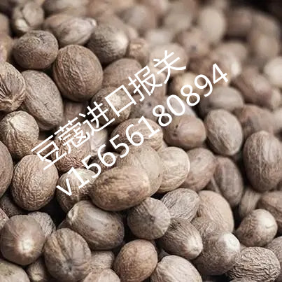 印尼白豆蔻进口代理公司