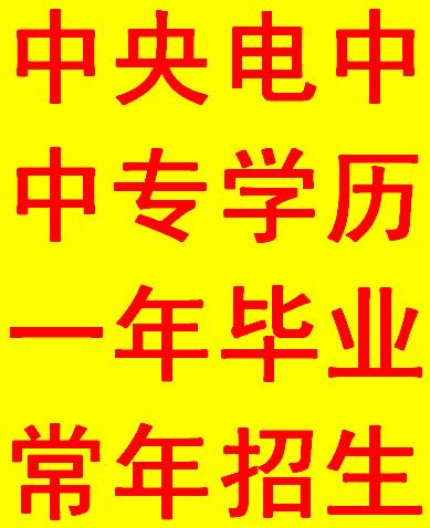 黄1.jpg