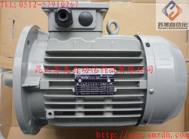 意大利ELECTRO ADDA电机