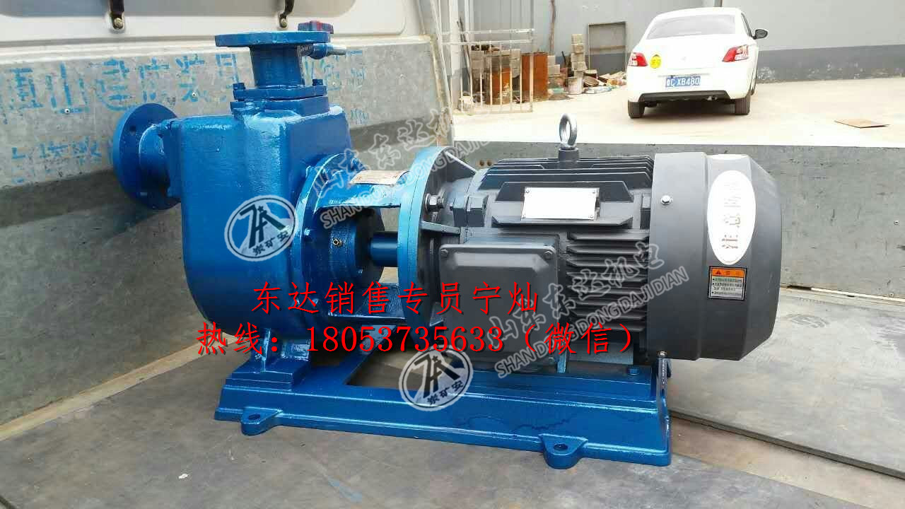 ZN65-65-4专用倒浆泵