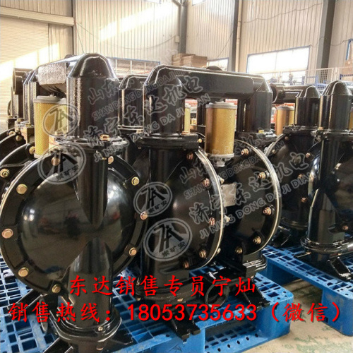 BQG450/0.2 隔膜泵 气动隔膜泵