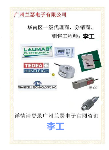 IL-500kg现货Toledo