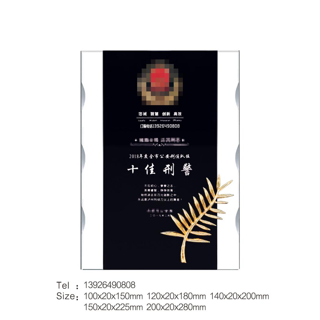 波浪边上下直边奖牌-十佳刑警-棕榈叶-黑色_139水印.jpg