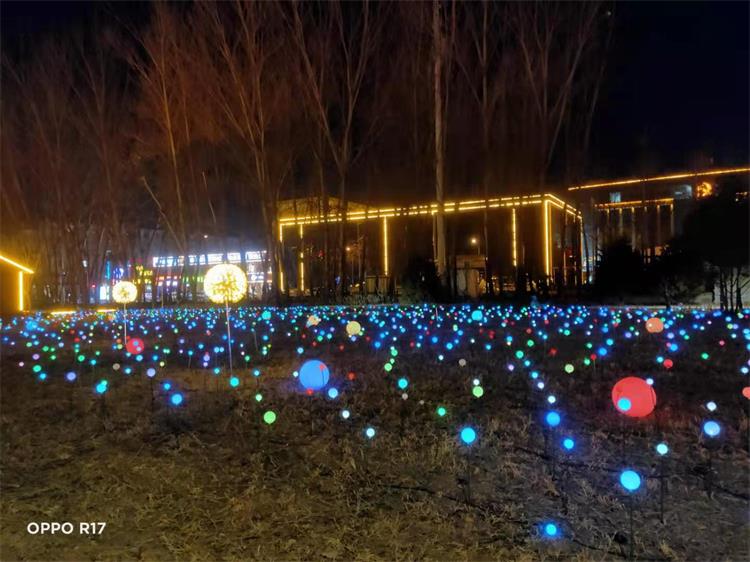 大型灯光节 梦幻灯展 景区亮化 动态灯光造型 制作厂家