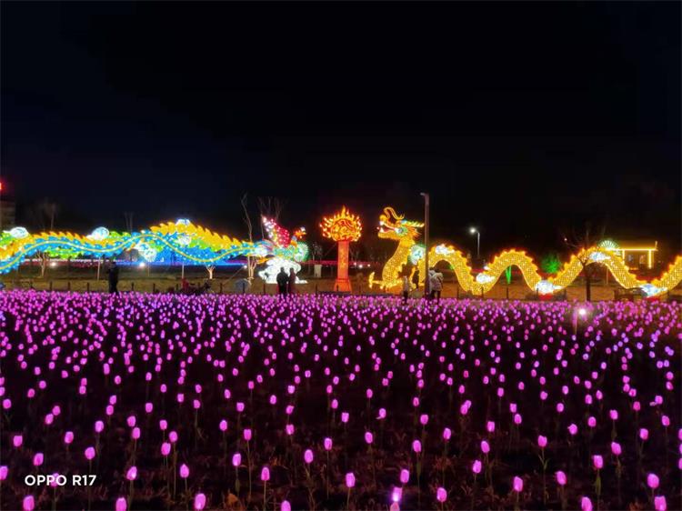 龙君展览参与2021年通化春节亮化工程