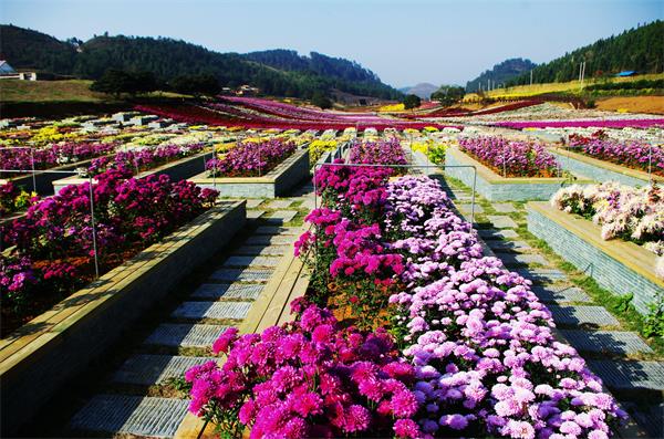 户外街道景区亮化规划设计方案制作