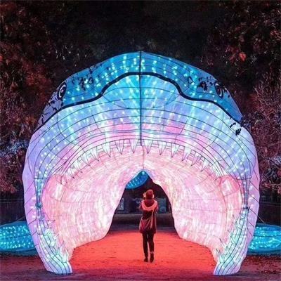 2021春节彩灯 灯光节策划宣传制作