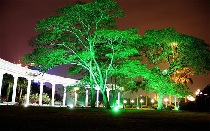 树木亮化装饰灯 亮化串灯 灯带 树木亮化景观