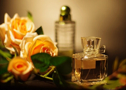 天津化妆品进口报关公司天津报关行