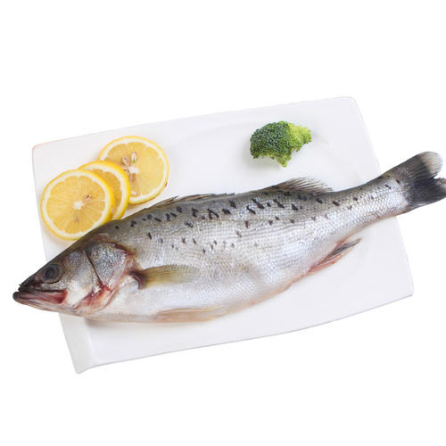 水产品天津港海鲜黄姑鱼水产品进口报关公司