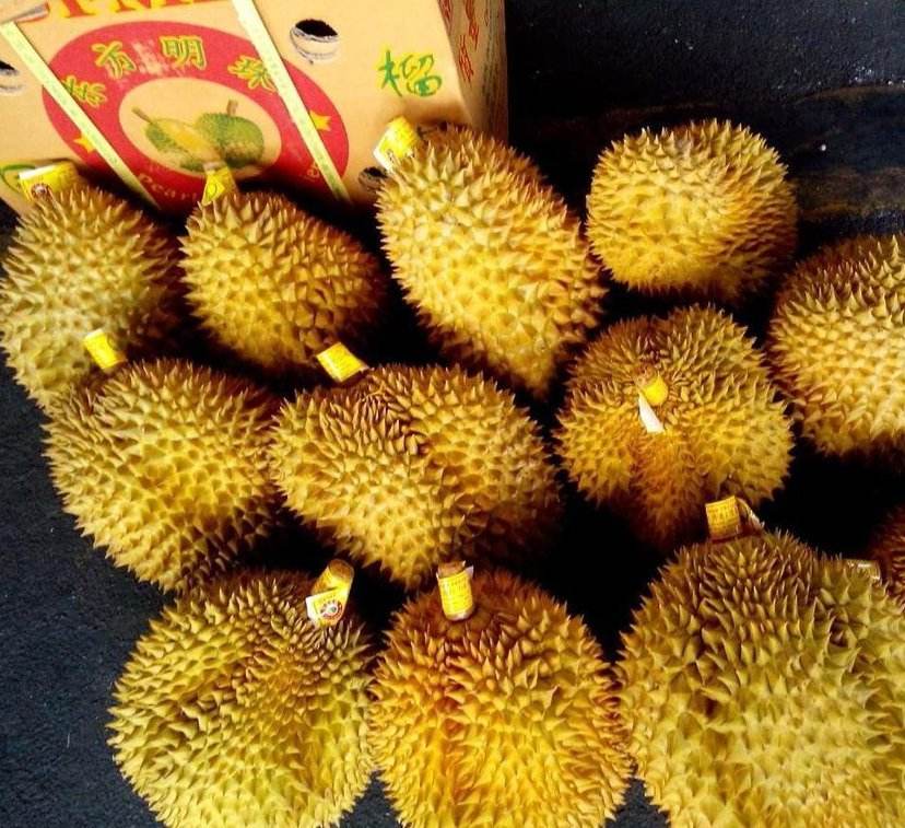 红酒天津港红酒洋酒进口报关代理公司