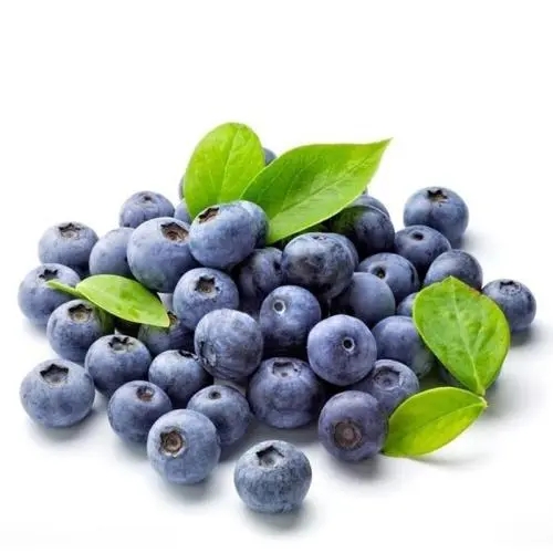 水果进口手续办理天津进口泰国芒果水果进口报关公司