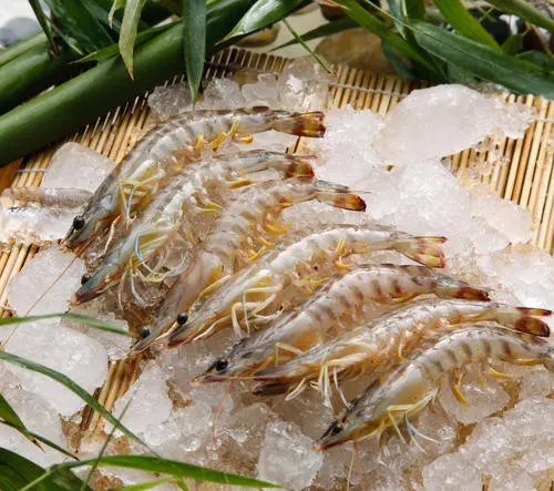 水产品进口关税是多少天津进口海鲜进口报关流程