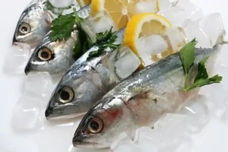 水产品进口关税是多少天津水产品海鲜进口报关公司