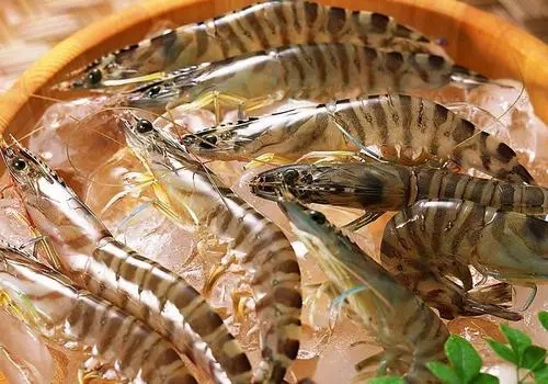 水产品进口关税是多少天津水产品海鲜进口报关案例解析