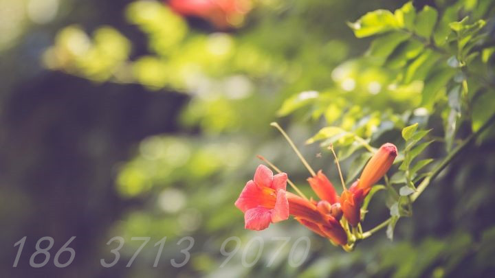 郑州市财务外包公司材料租赁行业如何合规解决纳税风险