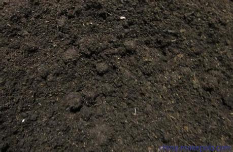 我来告诉您泥炭进口报关清关需要注意的事