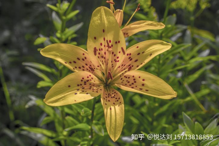 郑州商贸业财务外包,进销存混乱问题如何解决