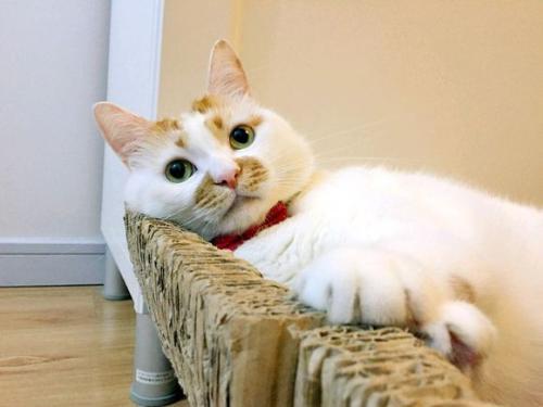 河南电商行业财务外包、进销存如何合理管理进销存?