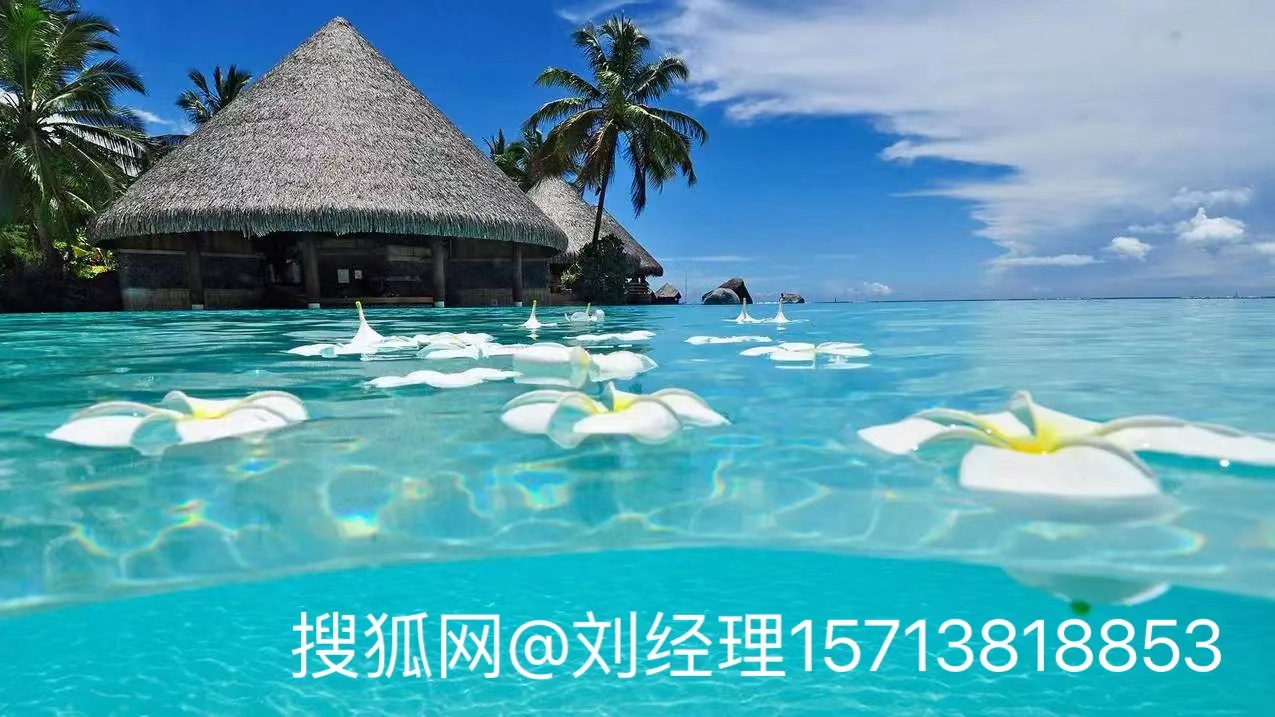河南郑州建筑业合理规划财务、财务税务整体外包出去这样安全吗?