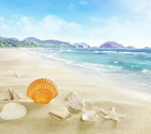 急出河南钢结构二级，可落全国出市函转房建三市政三地‌‌基基础三环保三