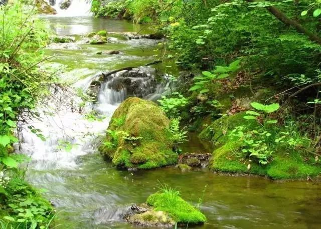 出浙江江苏河南装修一消防一智能化一，现货出函快