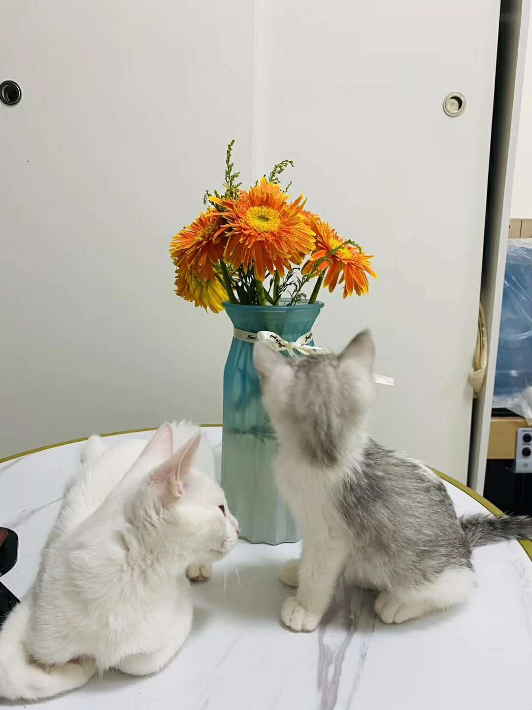 居间服务费郑州节税高水位筹划推广服务自然人委托代征