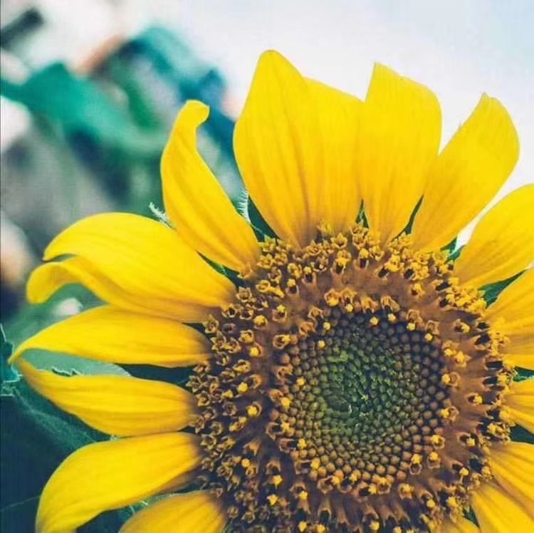 解决河南成本票缺失个人独资企业核定节税自然人委托代征