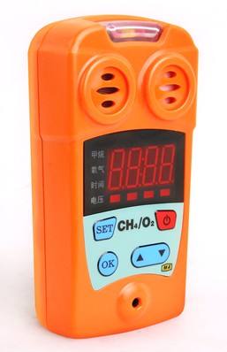 CYT25/1000氧气一氧化碳测定器