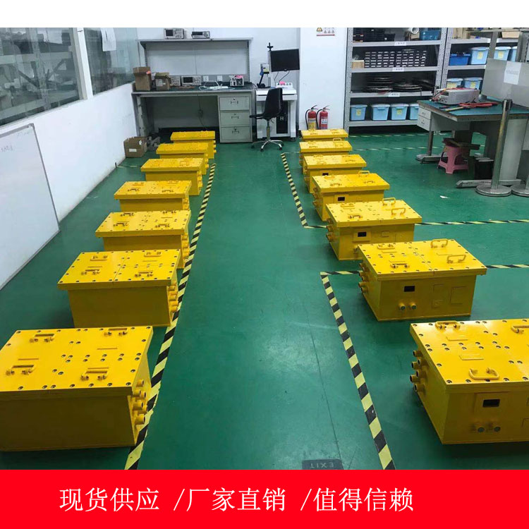 DXBL1536/24X（A）隔爆型锂离子蓄电池电源