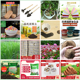 椰砖 栽培基质 营养土 种子